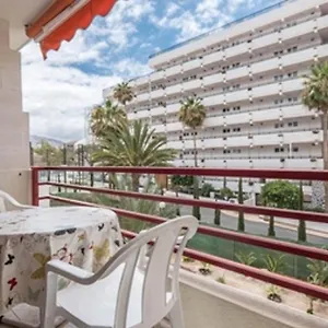 https://olimpia.in-canary-islands.com